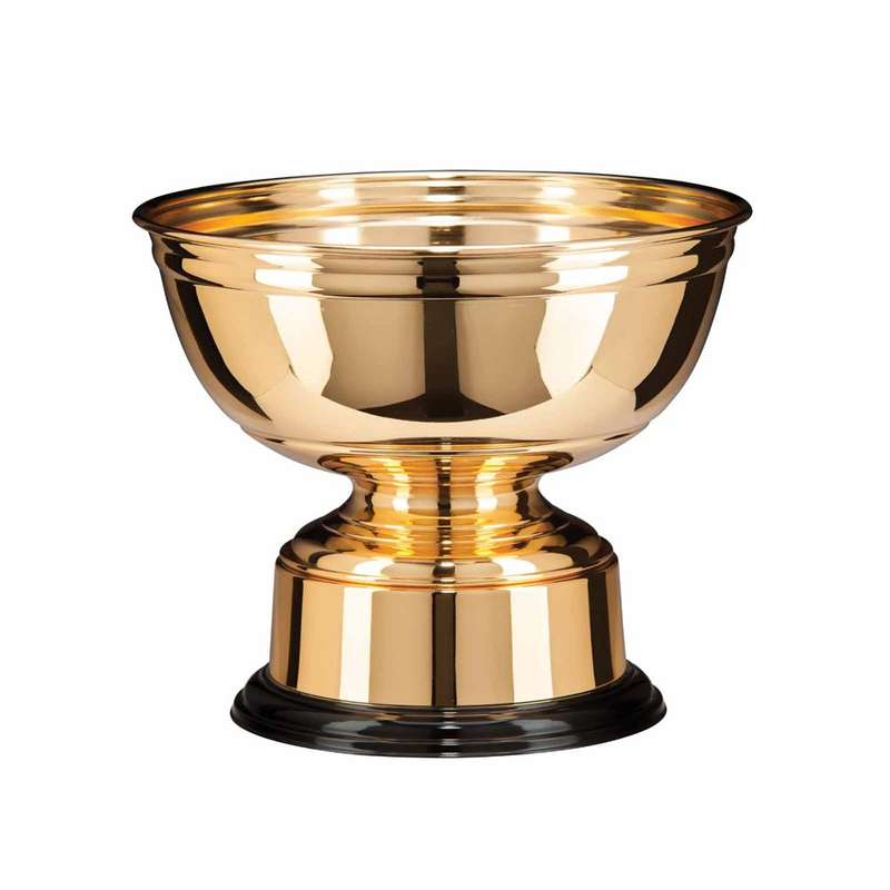 All You Need to Know About Components for Your Trophies and Awards