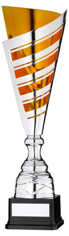 Celebrate Achievements with Multisport Awards