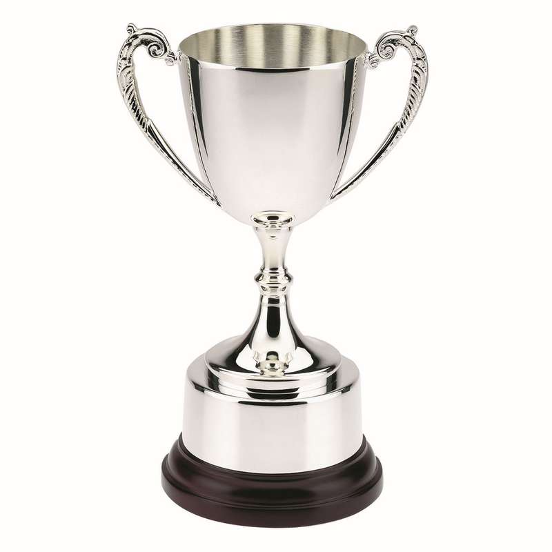 Elegant Silver Plated Awards for Every Occasion